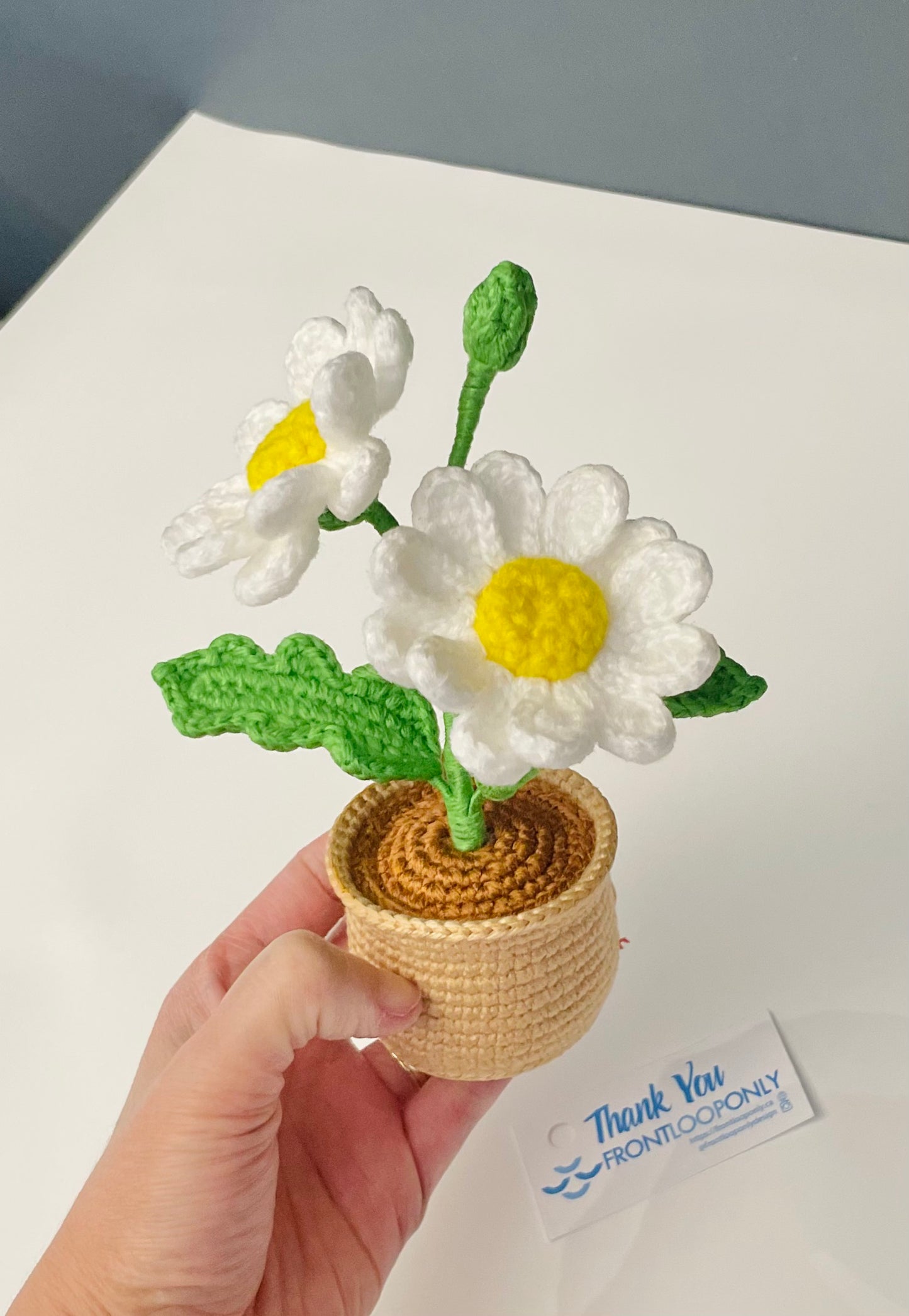 Crochet Daisy Flower Pot - Handmade Floral Decor