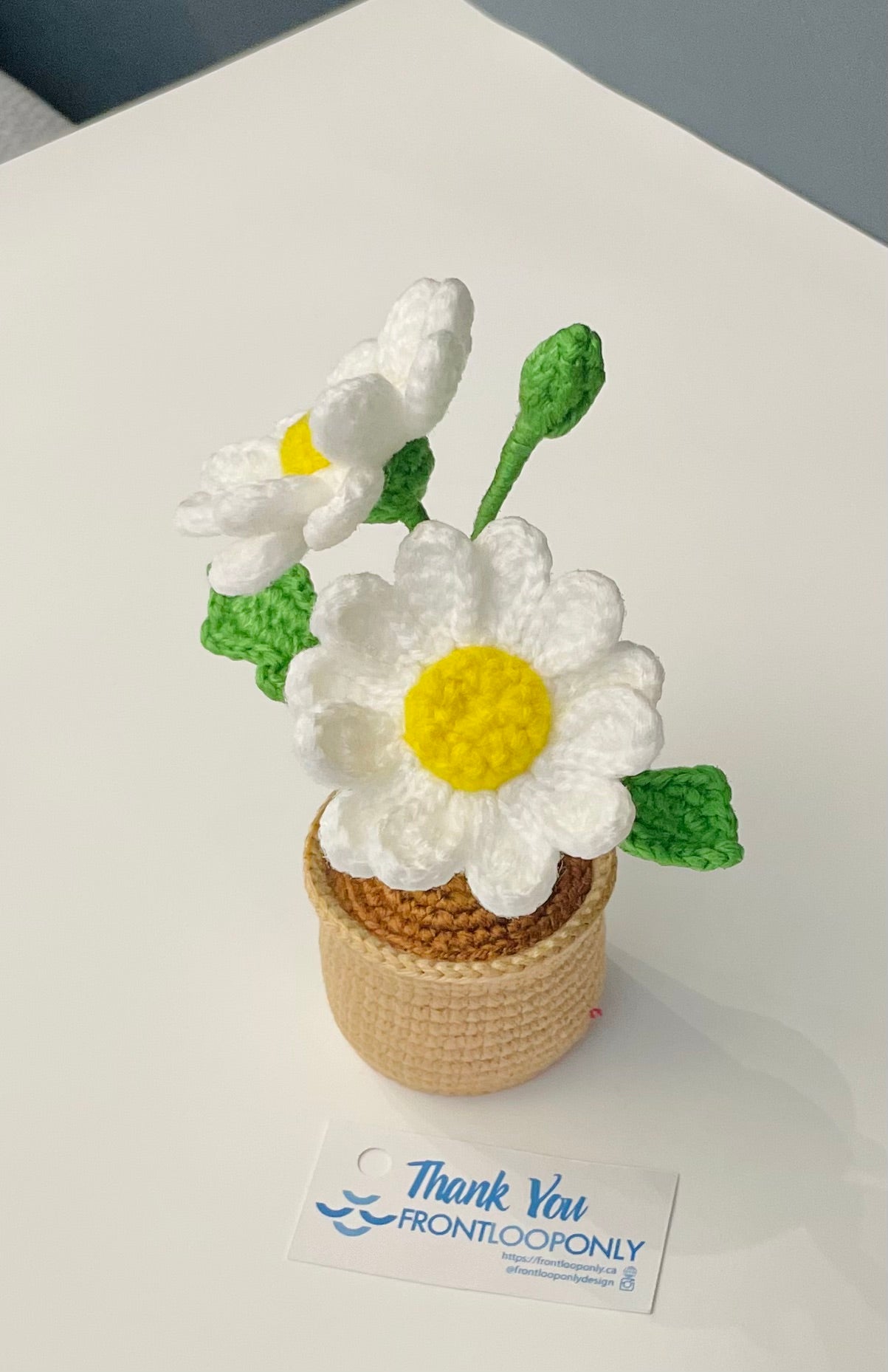 Crochet Daisy Flower Pot - Handmade Floral Decor