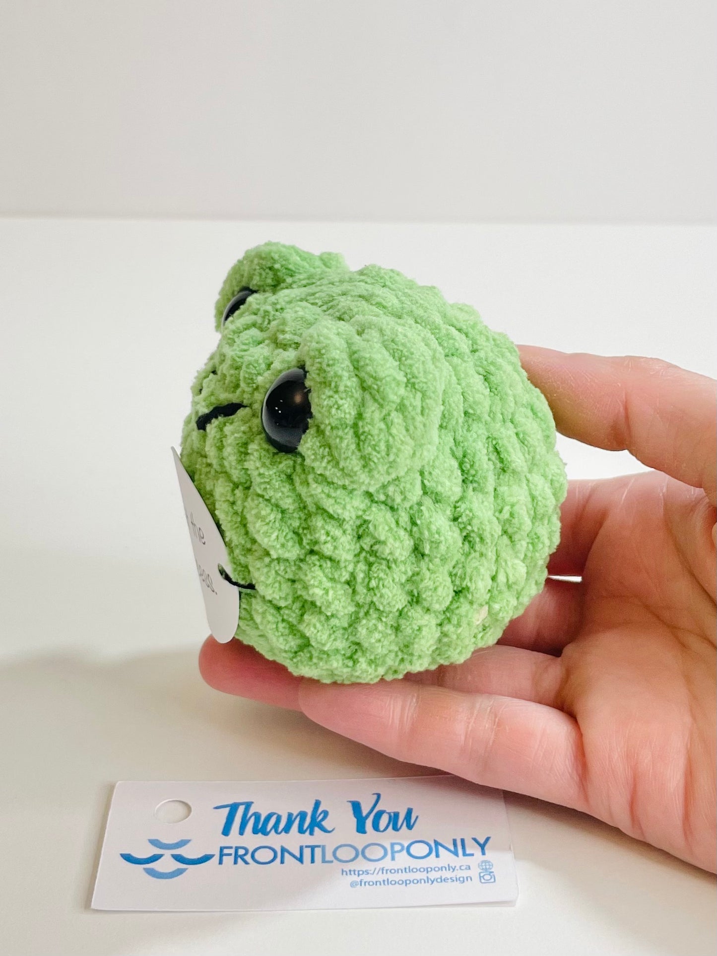 Personalized Weighted Crochet Frog | Pocket Pal, Affirmation Gift