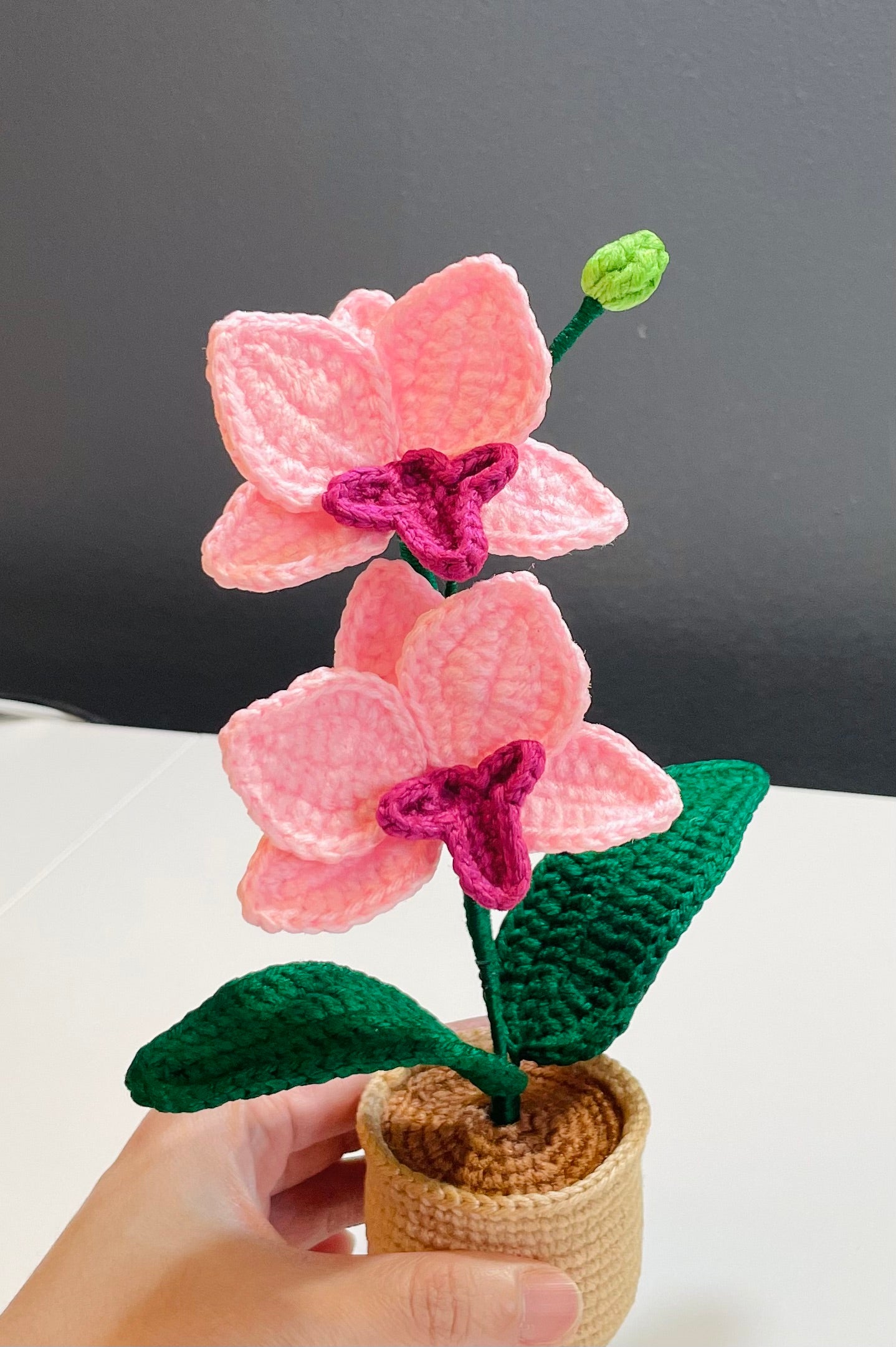 Crochet Orchid Pot – Handmade Bloom That Never Fades!