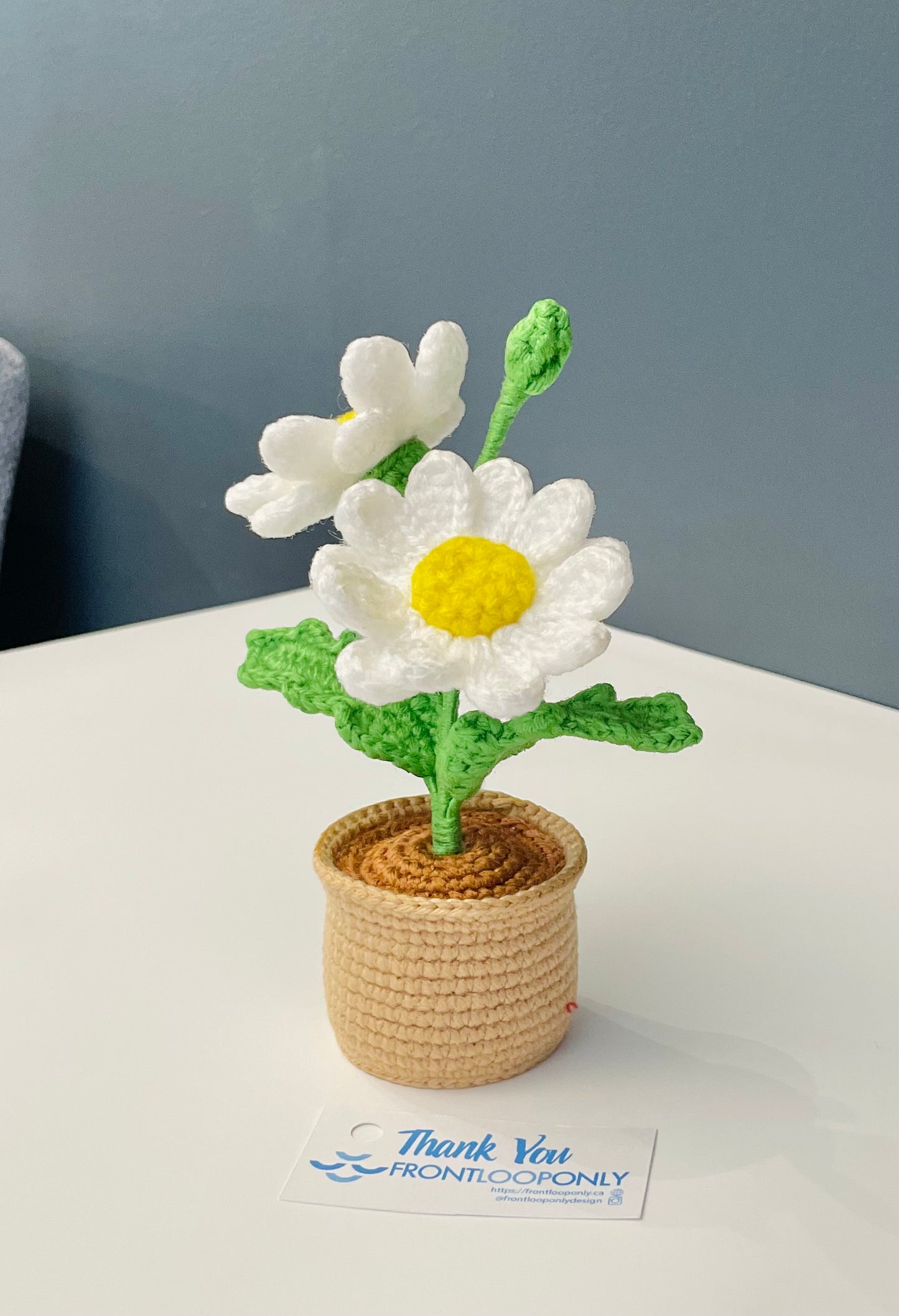 Crochet Daisy Flower Pot - Handmade Floral Decor