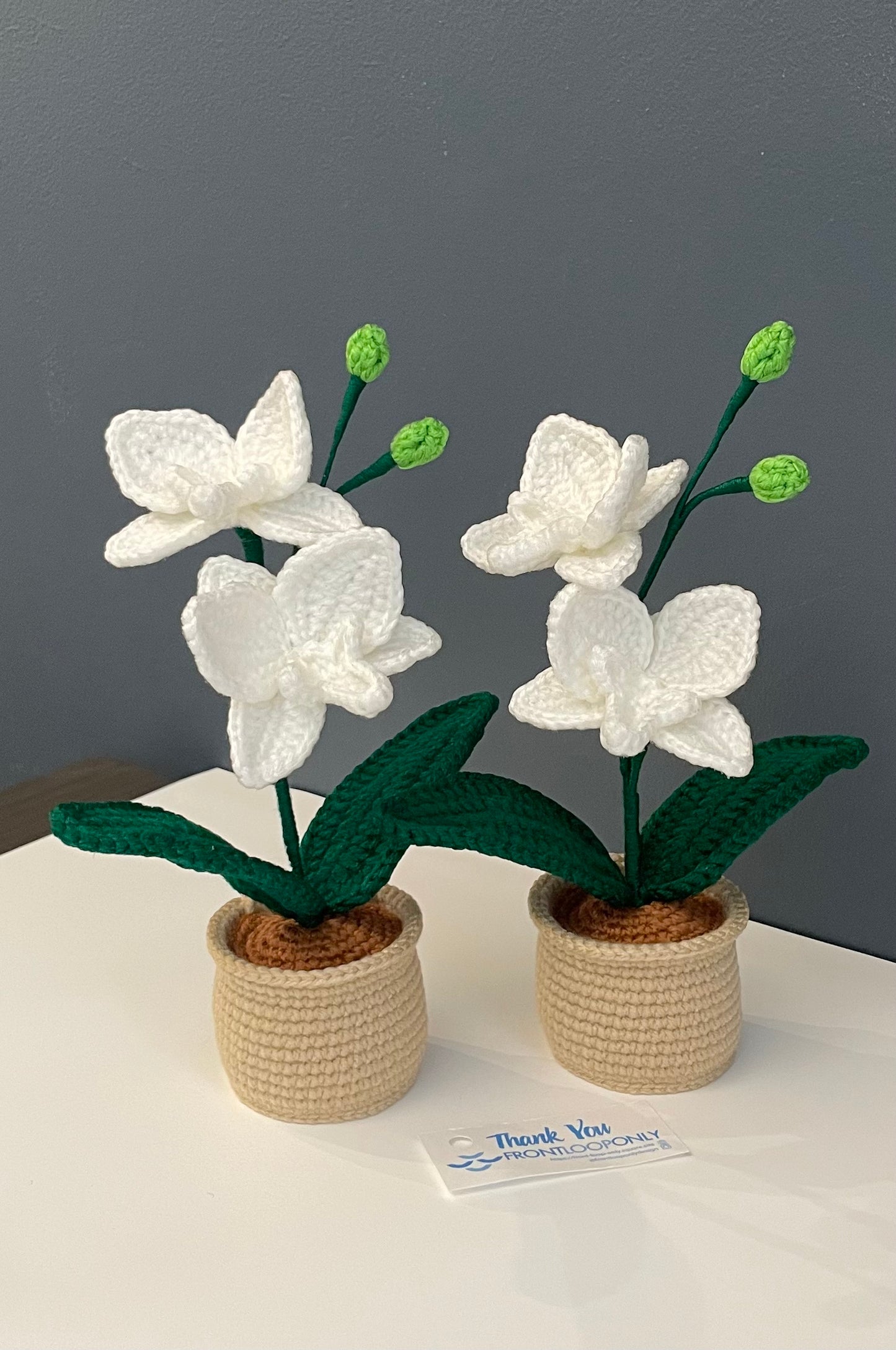 Crochet Orchid Pot – Handmade Bloom That Never Fades!