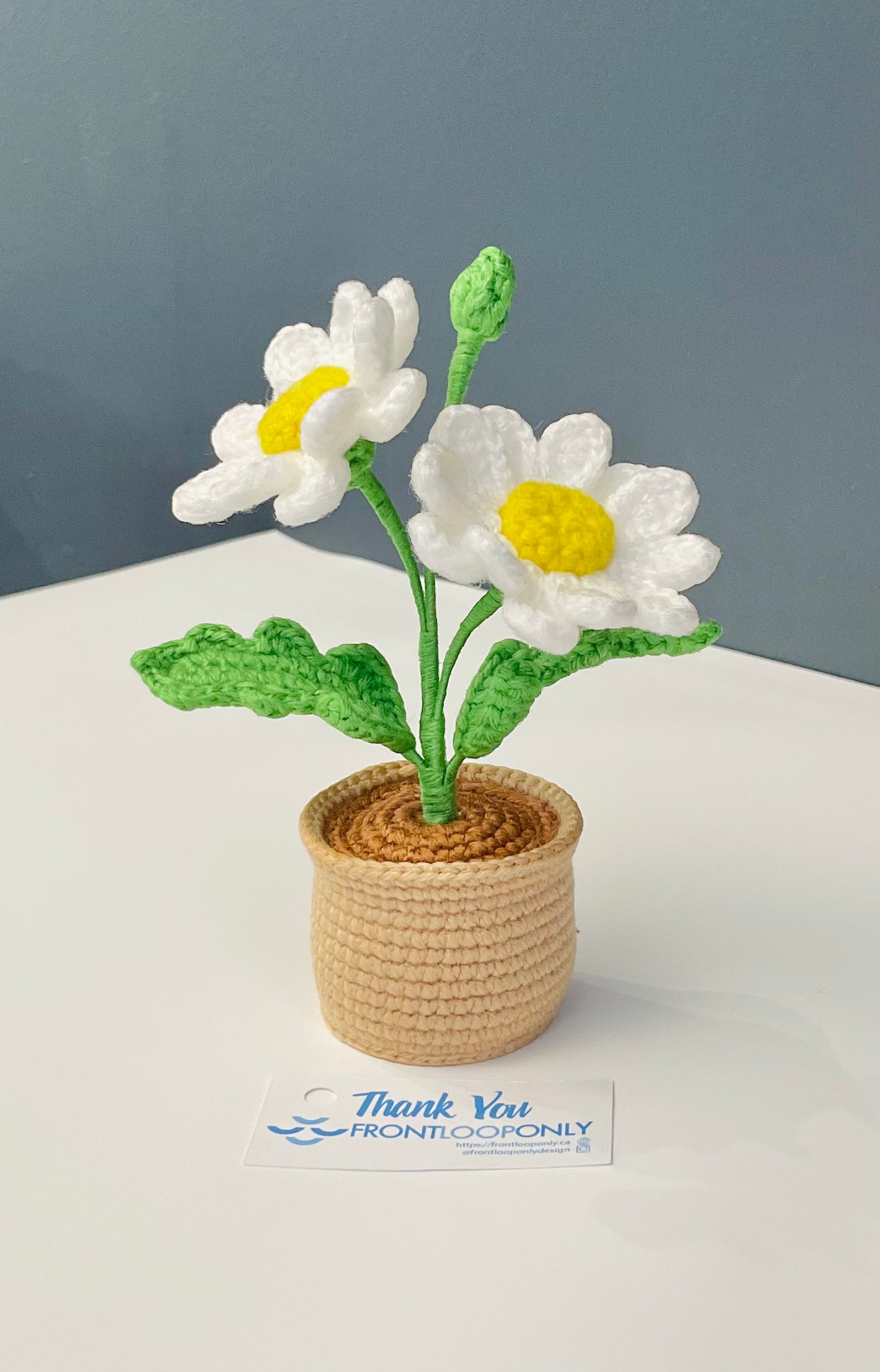 Crochet Daisy Flower Pot - Handmade Floral Decor