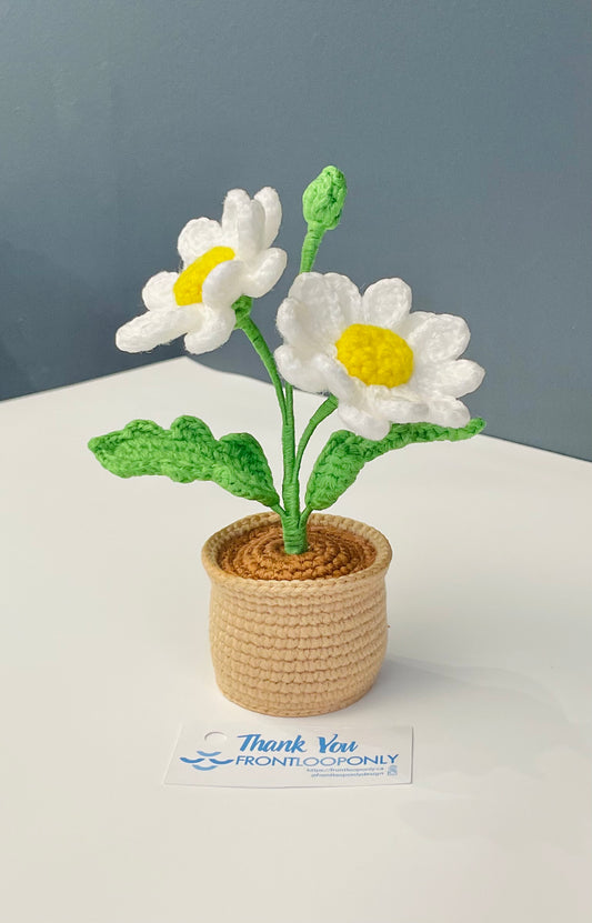 Crochet Daisy Flower Pot - Handmade Floral Decor