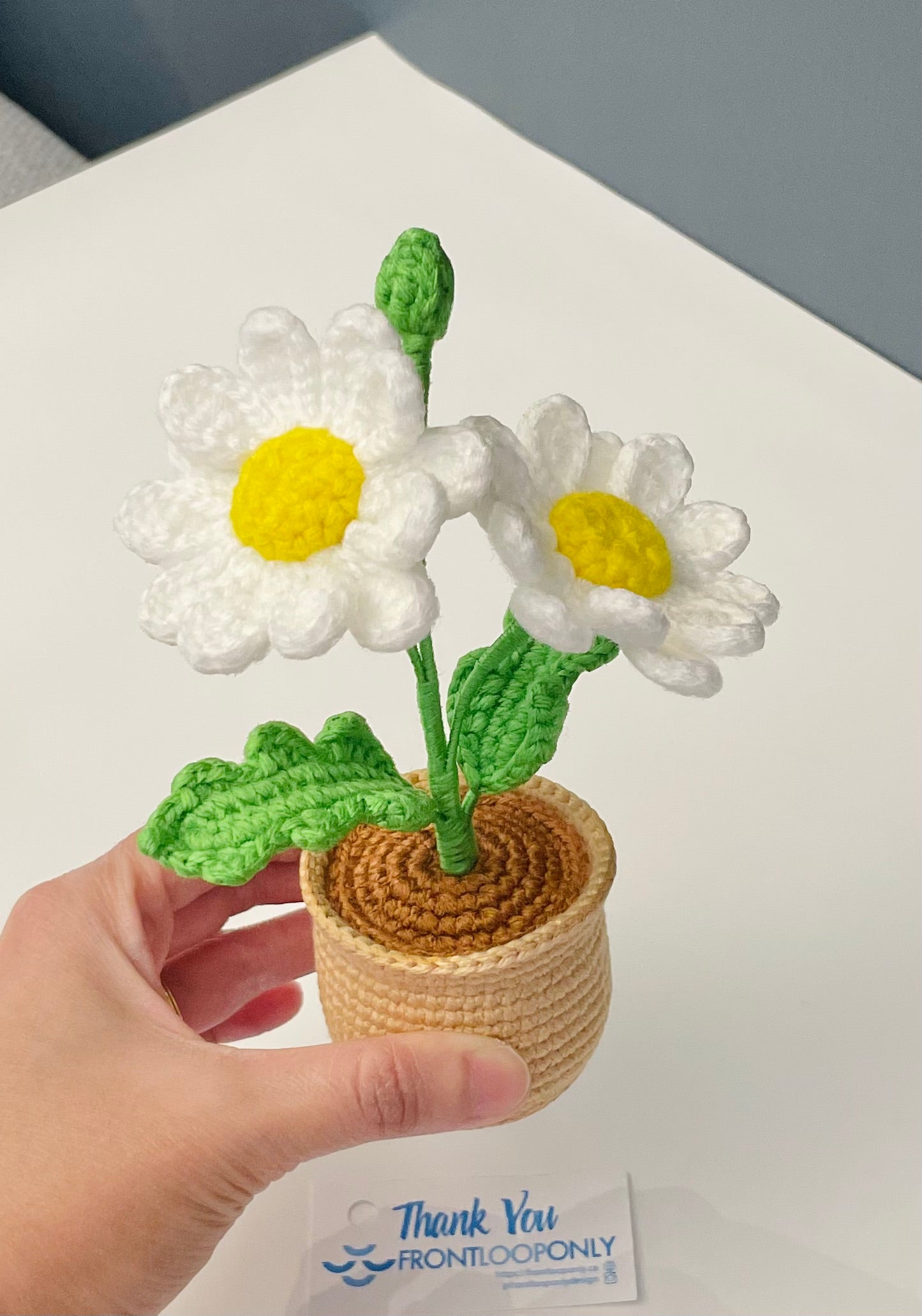 Crochet Daisy Flower Pot - Handmade Floral Decor