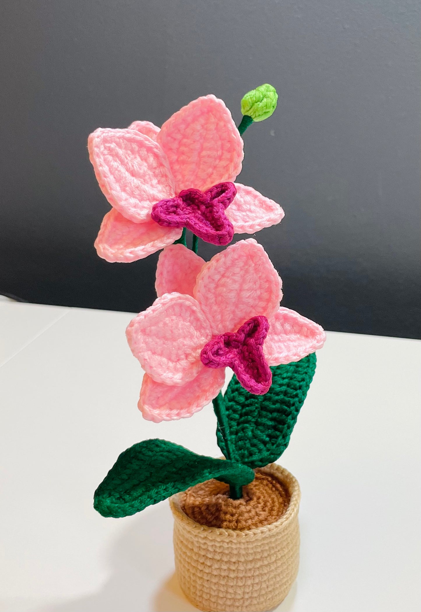Crochet Orchid Pot – Handmade Bloom That Never Fades!