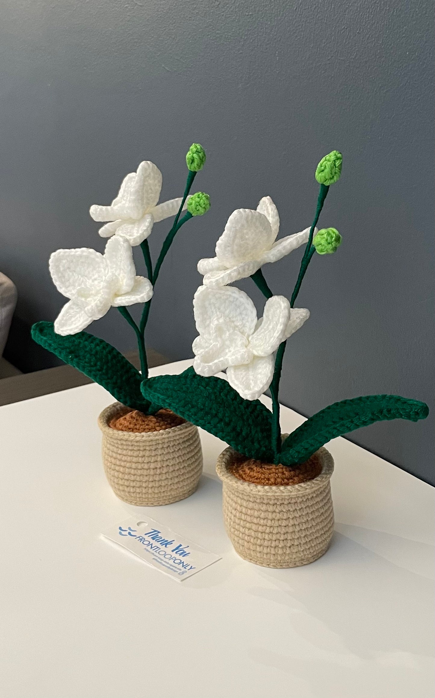 Crochet Orchid Pot – Handmade Bloom That Never Fades!
