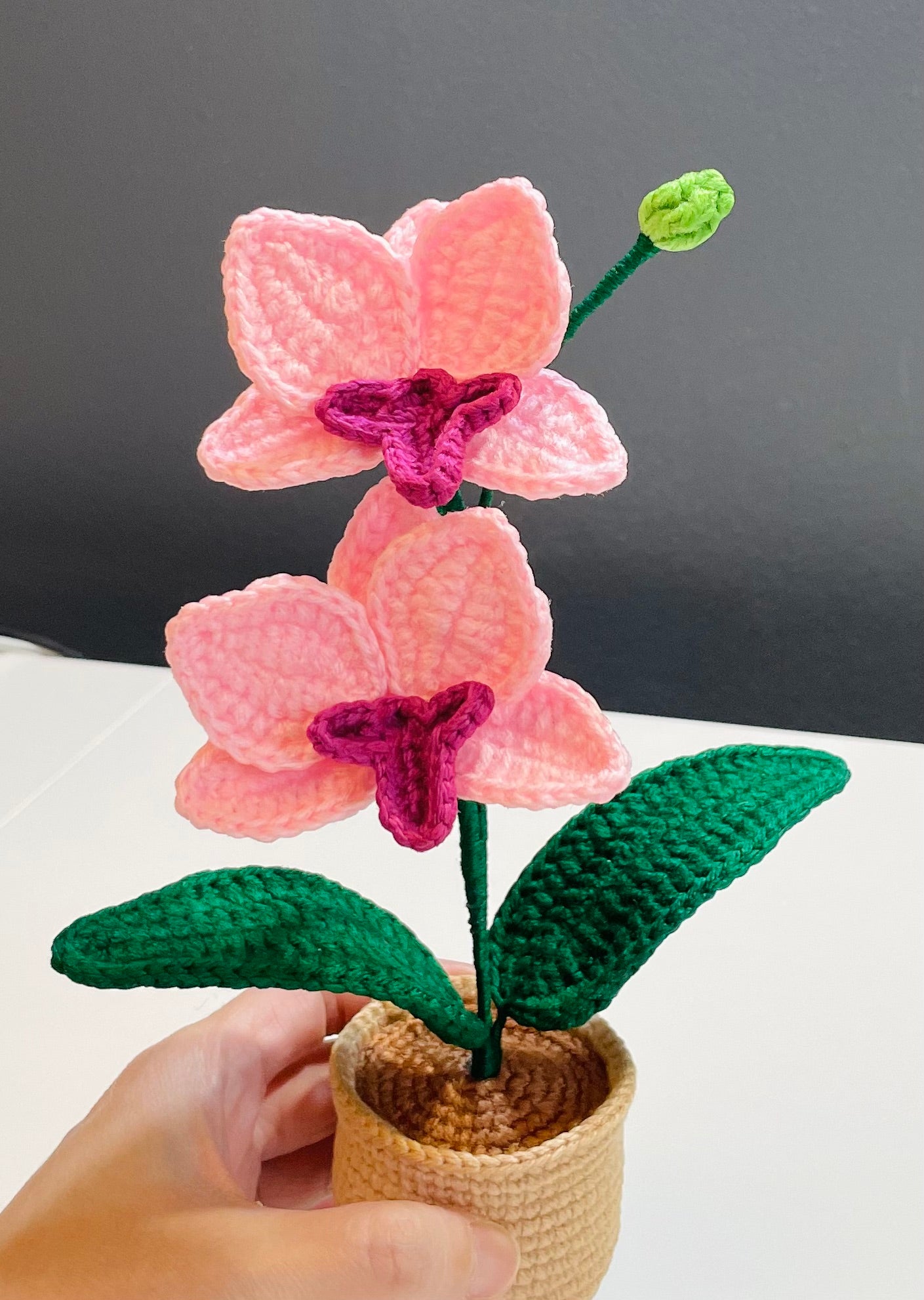 Crochet Orchid Pot – Handmade Bloom That Never Fades!