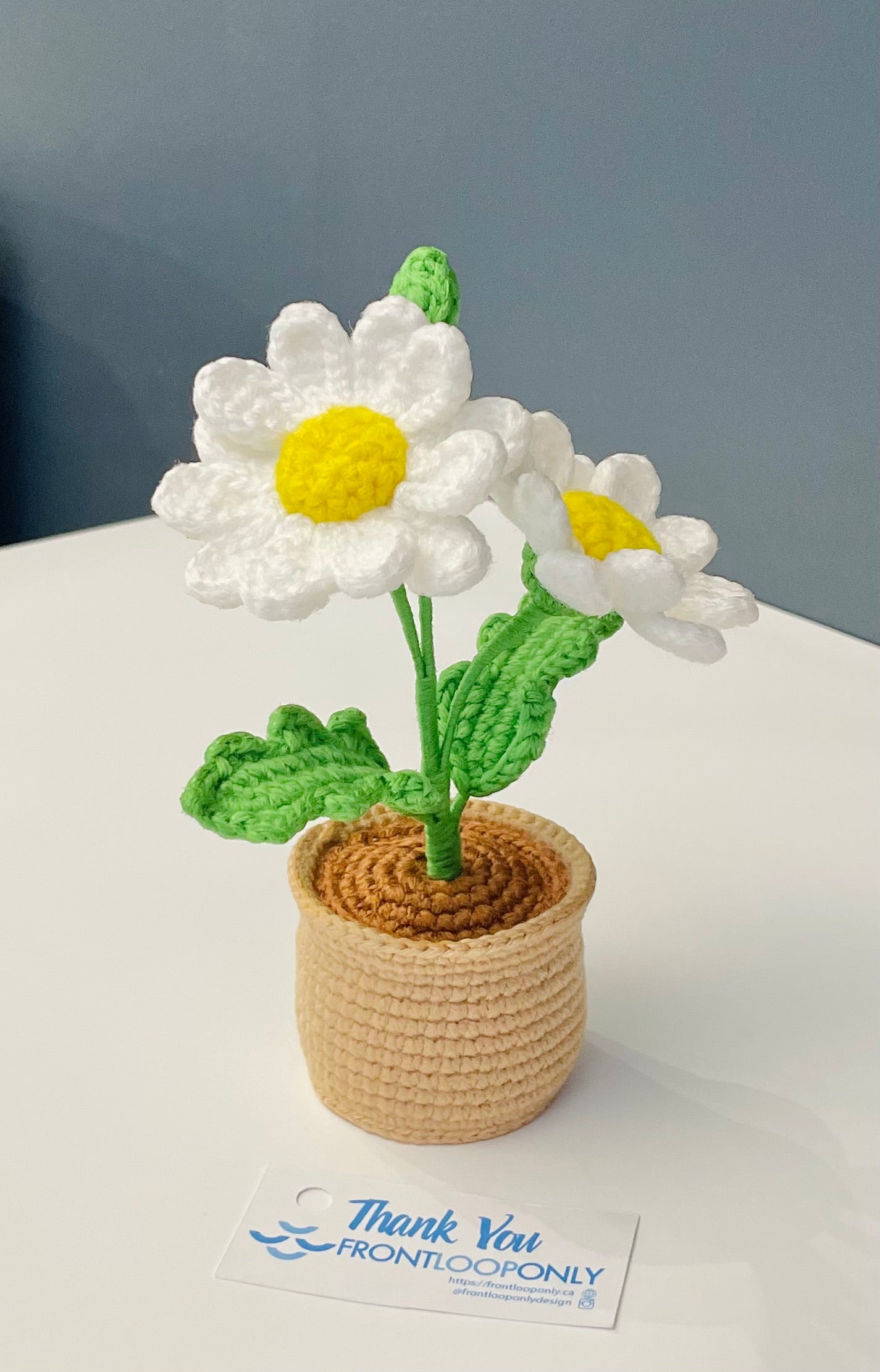 Crochet Daisy Flower Pot - Handmade Floral Decor