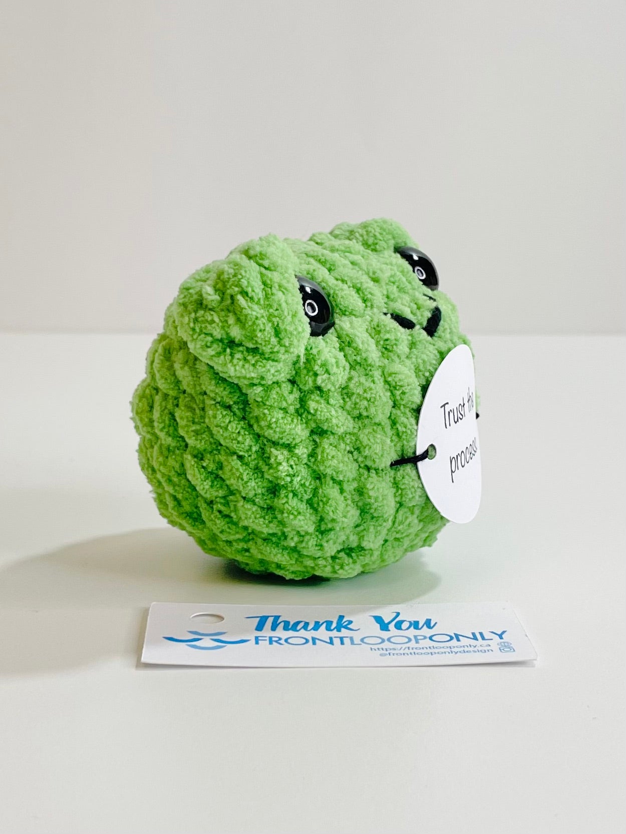 Personalized Weighted Crochet Frog | Pocket Pal, Affirmation Gift
