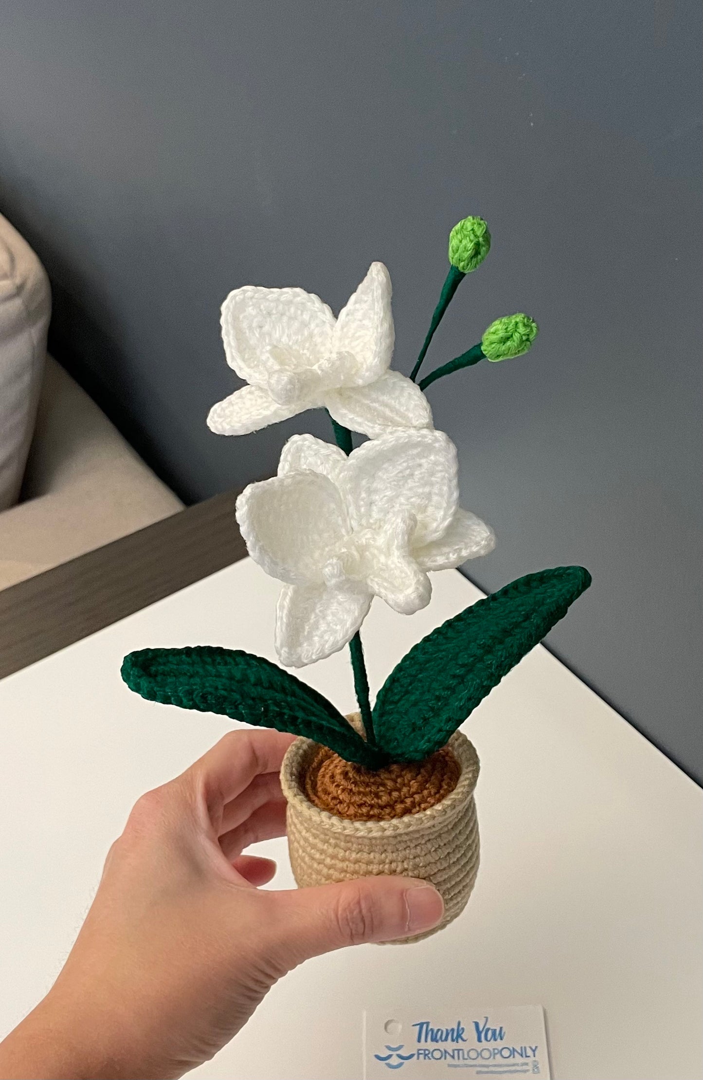 Crochet Orchid Pot – Handmade Bloom That Never Fades!