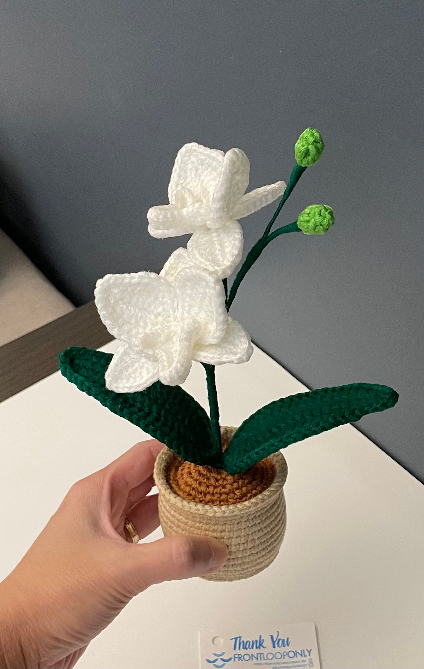 Crochet Orchid Pot – Handmade Bloom That Never Fades!