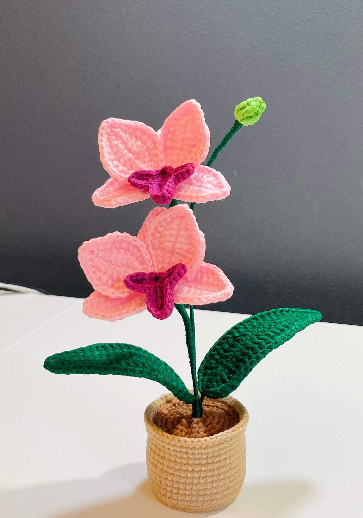 Crochet Orchid Pot – Handmade Bloom That Never Fades!