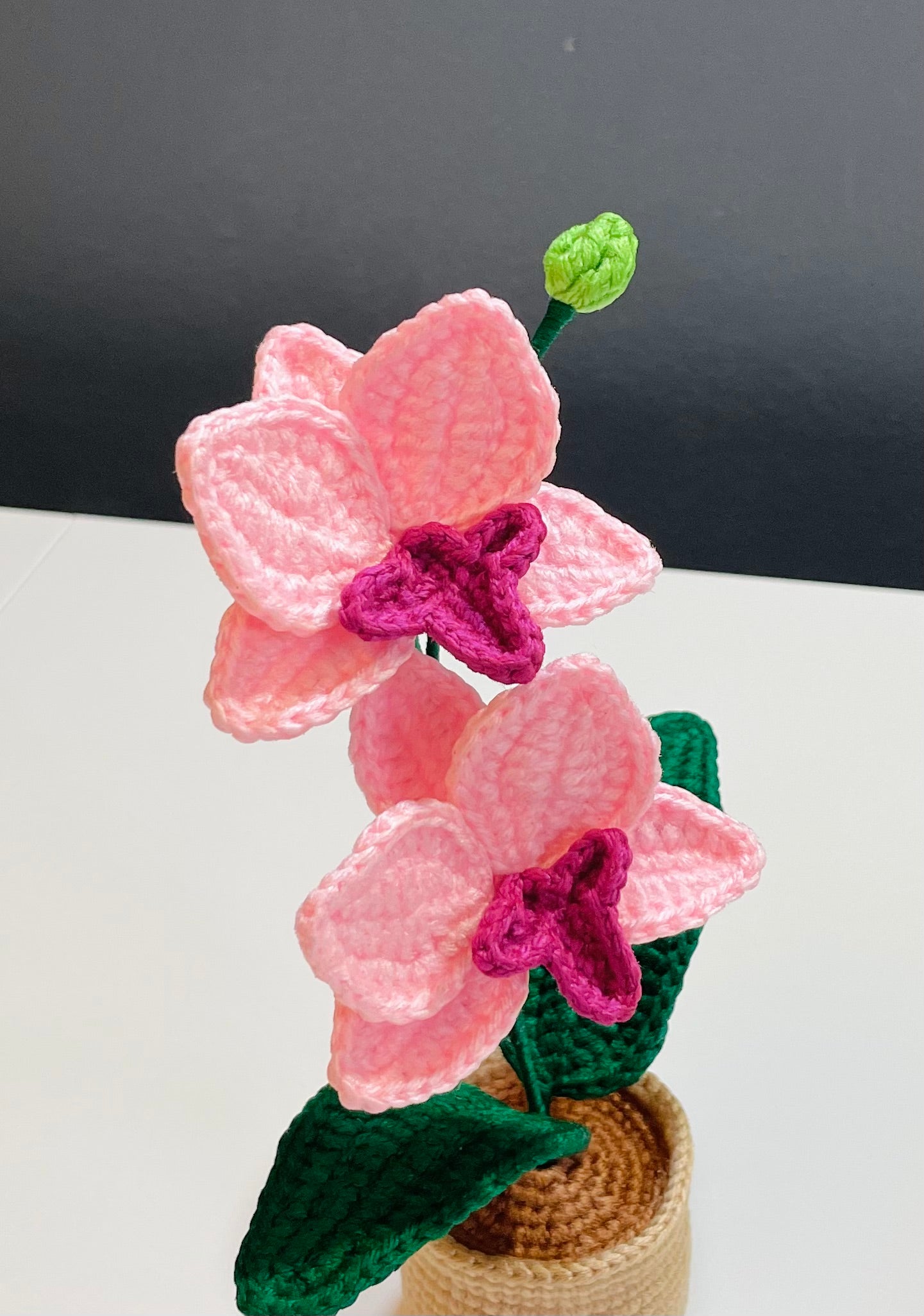 Crochet Orchid Pot – Handmade Bloom That Never Fades!